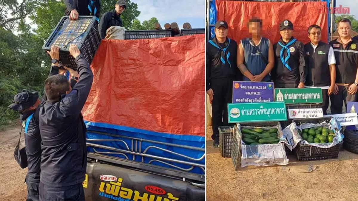 Border Guards Seize Smuggled Avocados Worth Nearly 3 Tons
