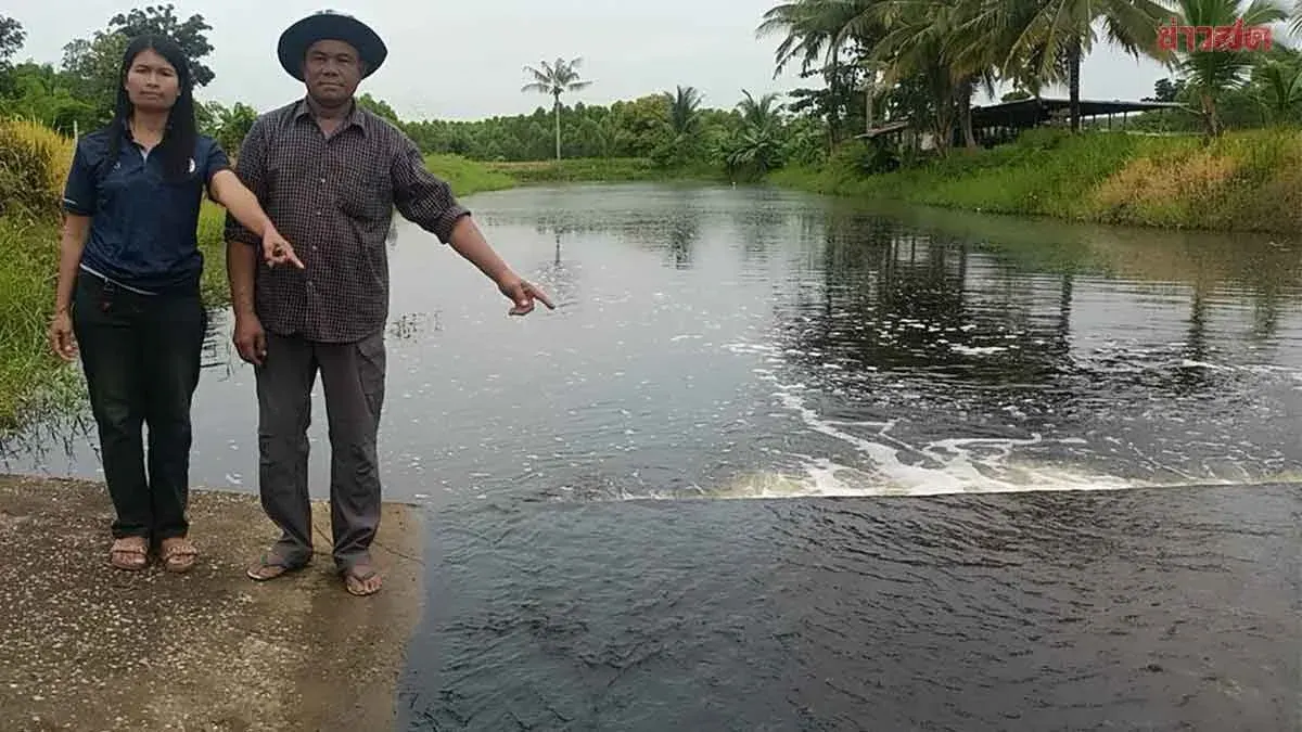 Factory Suspected of Dumping Toxic Waste Into Canal