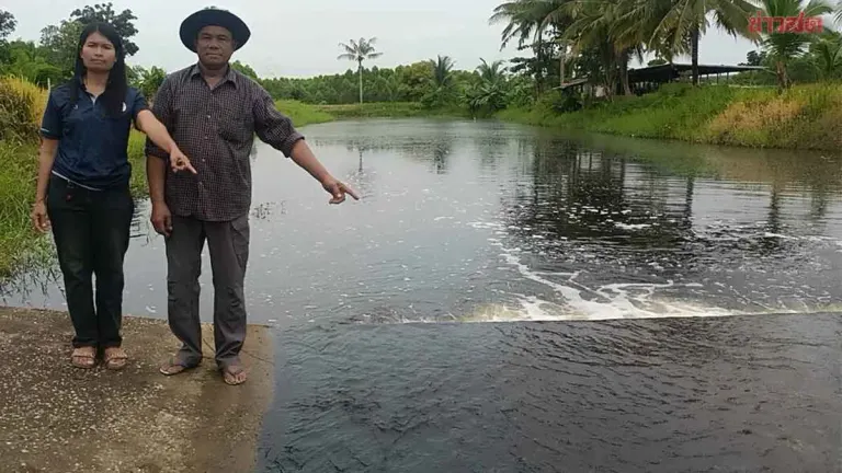 Factory Suspected of Dumping Toxic Waste Into Canal