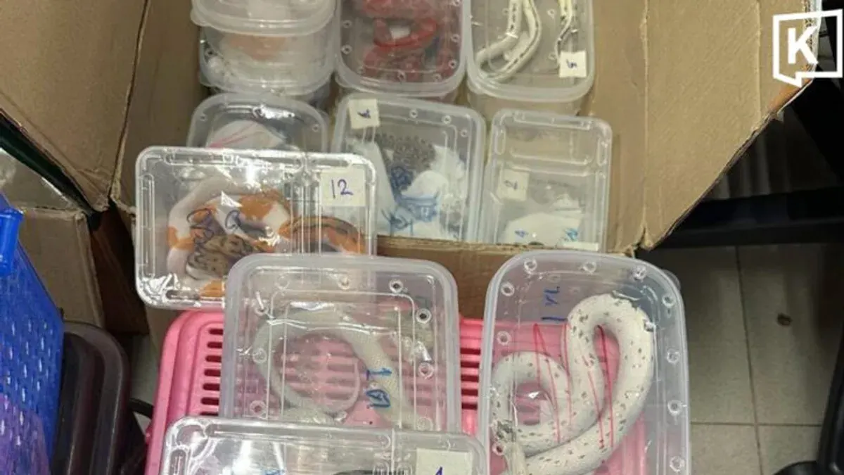Thai Authorities Seize 126 Reptiles Hidden in Airport Mail