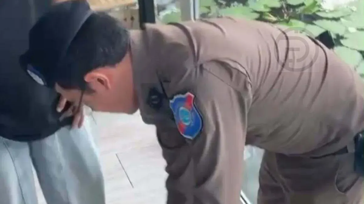 Police Clear Phuket Cafe After Lion Attack Rumors