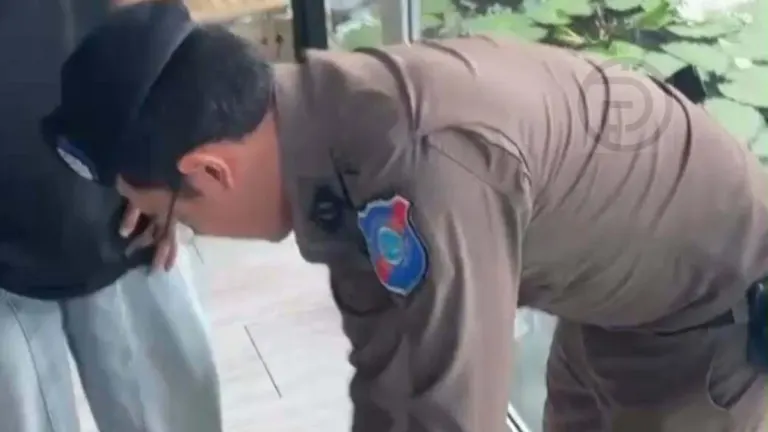 Police Clear Phuket Cafe After Lion Attack Rumors