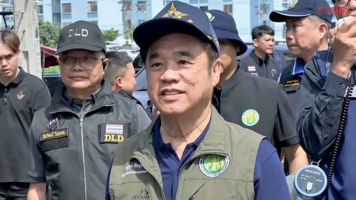 Thailand Orders Swift Burial of Flooded Pig Carcasses in Prachinburi