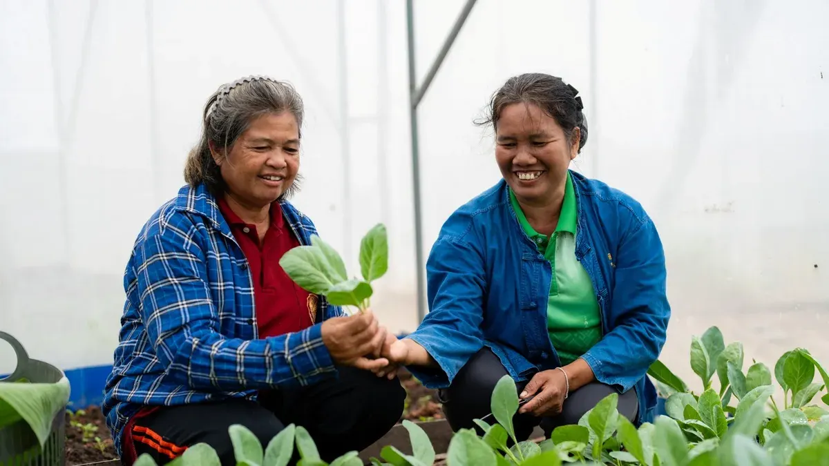 Solar Power Brings Villagers Home With Safe Farming
