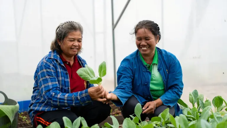 Solar Power Brings Villagers Home With Safe Farming