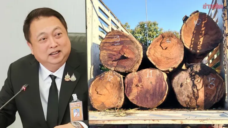 Minister Orders Crackdown on Illegal Logging; Truck Seized in Uttaradit