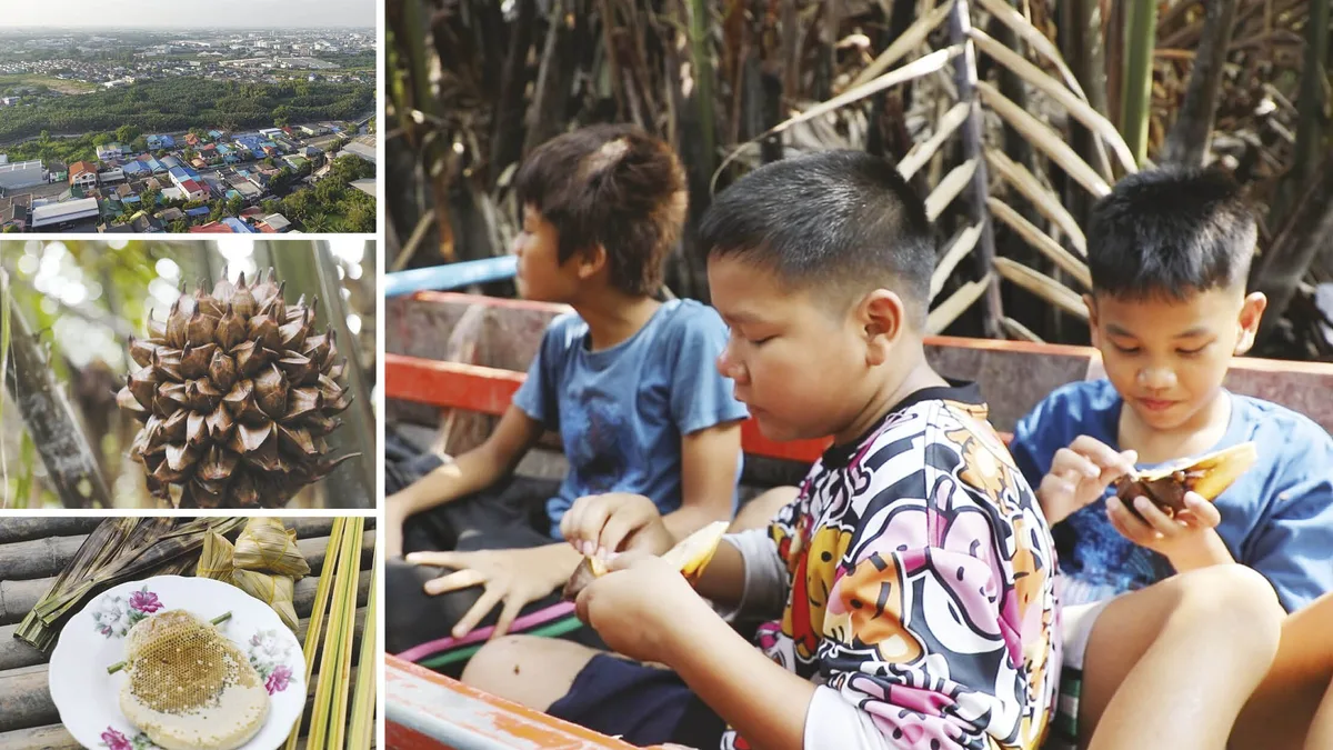 Through Youth's Eyes – The Mangrove Forest From Many Perspectives in Living Memory