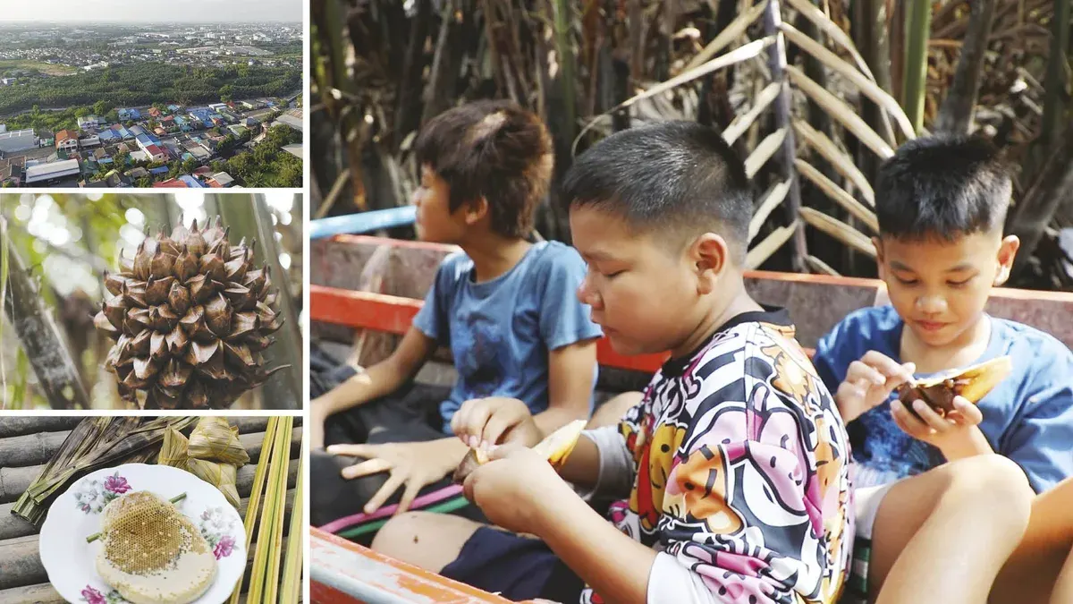 Through Youth's Eyes – The Mangrove Forest From Many Perspectives in Living Memory