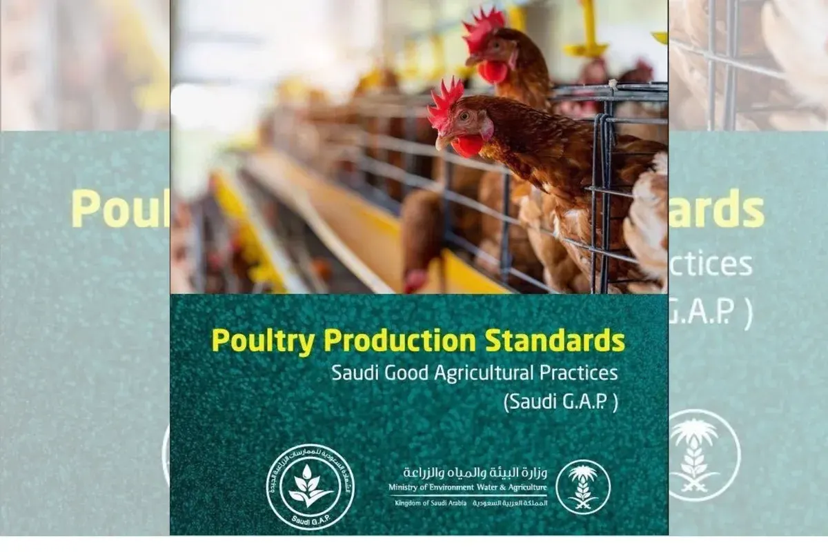 Saudi Arabia Delays Poultry Standard, Extends Thai Export Window