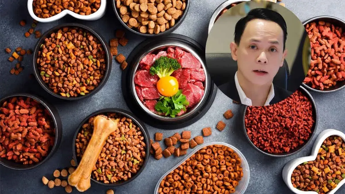 Thai Pet Food Exports Surge on Premium Health Trend