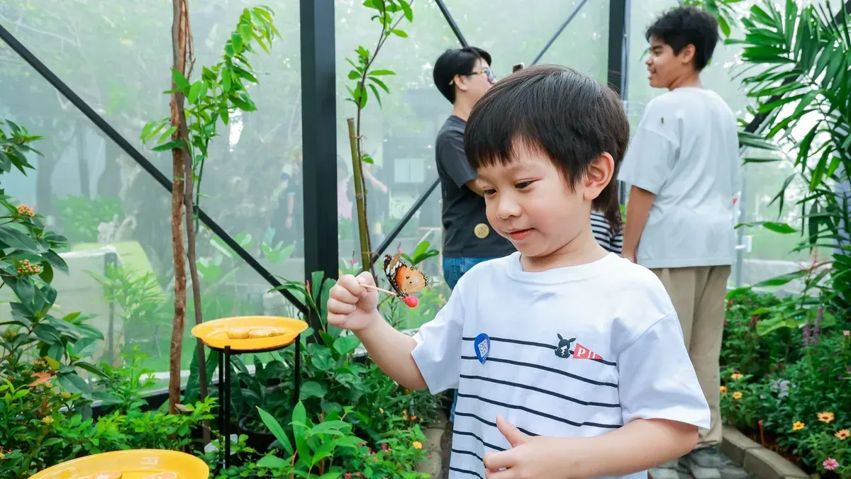 National Science Museum Opens New Butterfly Garden With Nature Trail