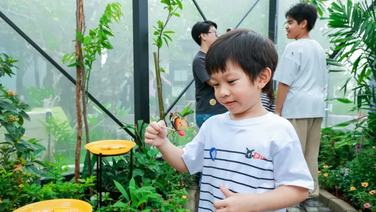 National Science Museum Opens New Butterfly Garden With Nature Trail
