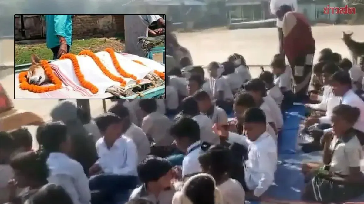 Hero Dog Battles Cobra to Save 30 Children Before Succumbing to Snake Venom
