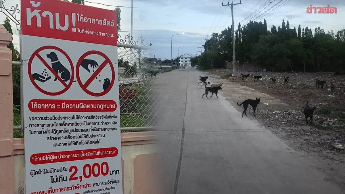 Animal Lovers Clash With City Over Stray Feeding Ban Signs