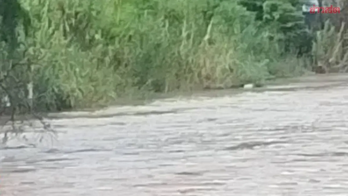 Bodies of Suspected Chinese Nationals Found Floating in Moei River
