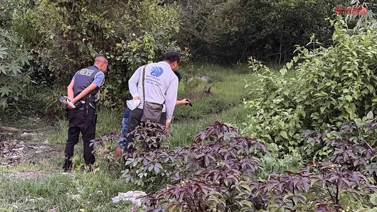 Former Road Surveyor Stabbed to Death on Motorcycle