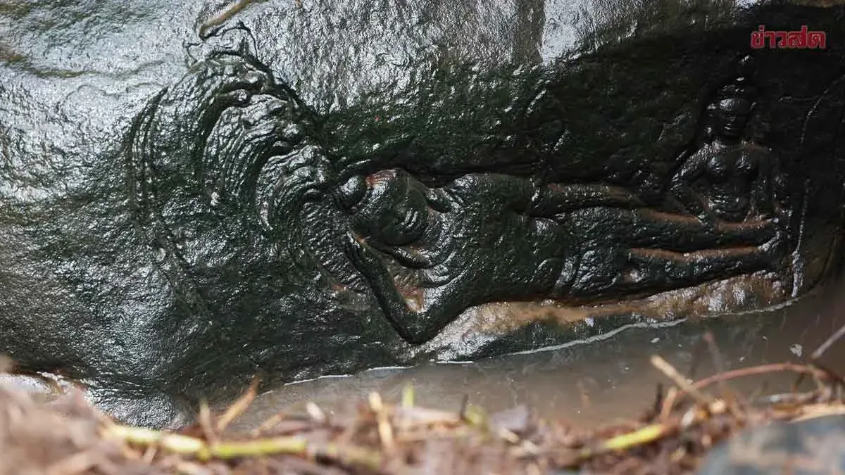 Opening the Path to Thailand's Only Underwater Narayan Bertham Sindhu Carving to Boost Conservation Tourism in Ubon