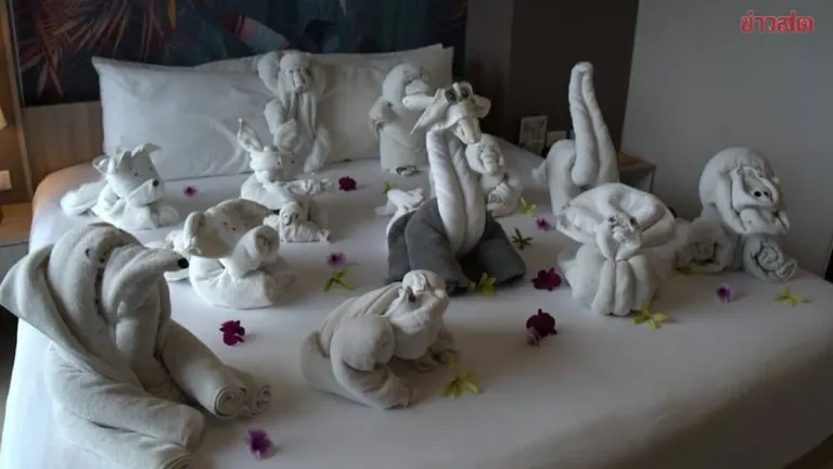 Phuket Hotel Turns Room into Zoo with Towel Animals