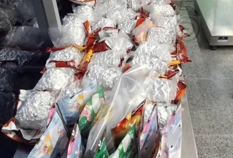 Russian Man Caught Smuggling 17 KG Cannabis at Phuket Airport