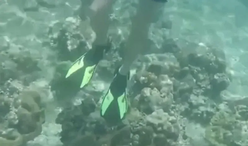 Officials react after tourist caught ‘coral walking’ at Maya Bay