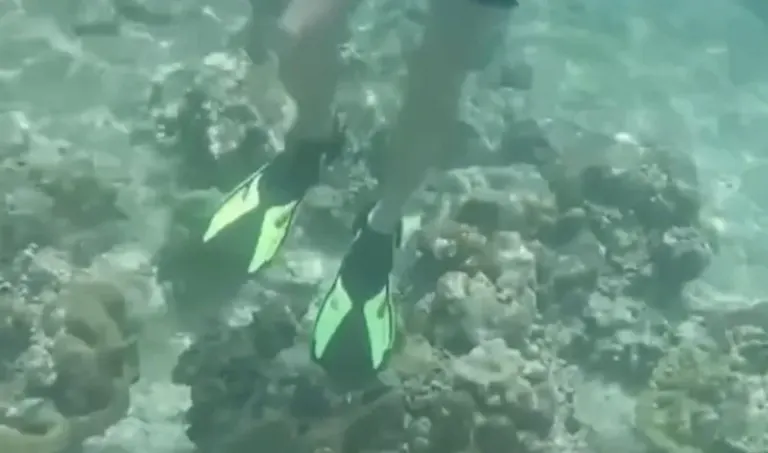 Officials react after tourist caught ‘coral walking’ at Maya Bay