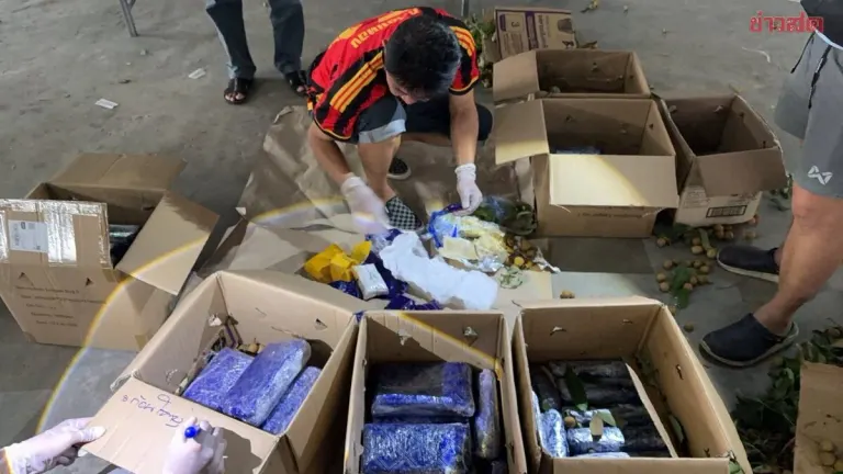 Bangkok Men Caught Smuggling 300,000 Methamphetamine Pills in Longan Shipment