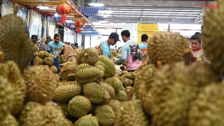 Durian Vendors at Thai Market See Live-Selling Drama Differently—100 Baht Per Fruit Creates Divide