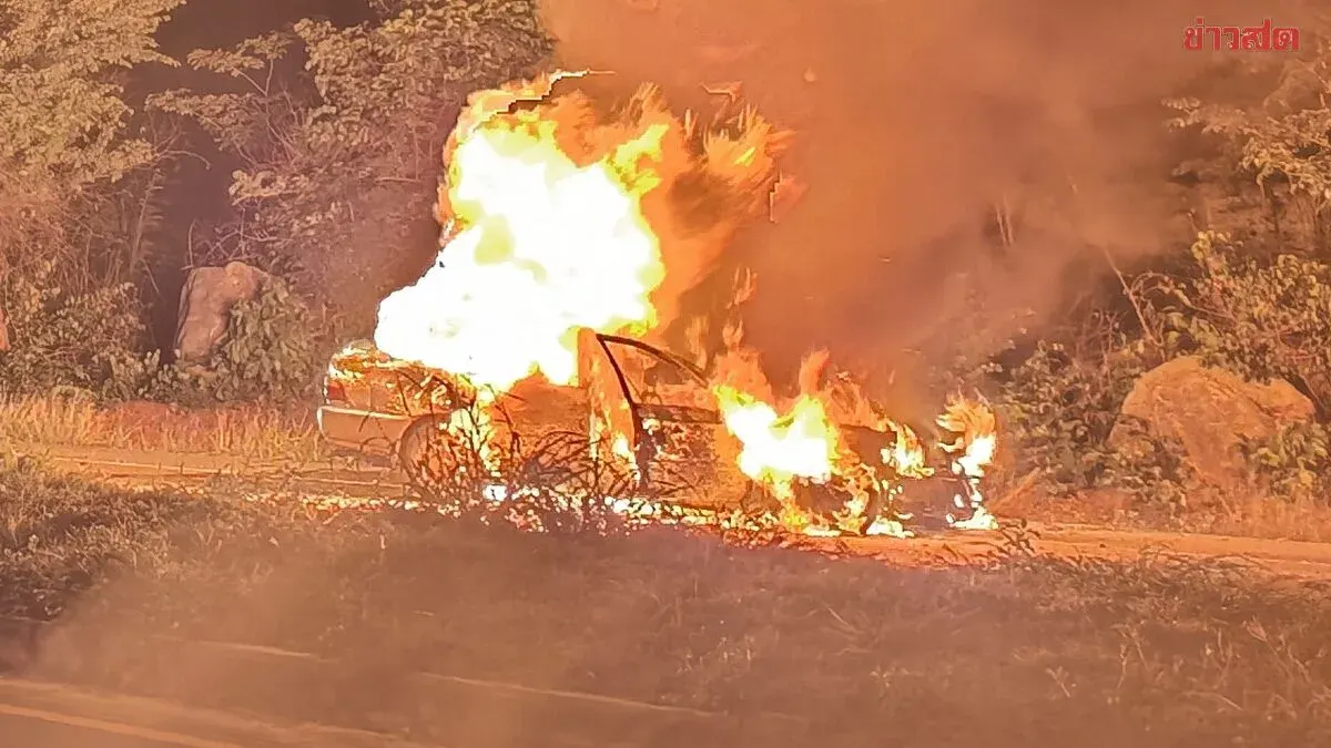 Tragic: Sedan Collides with Wild Elephant, Bursts into Flames, Destroying Vehicle—One Dead, Two Injured