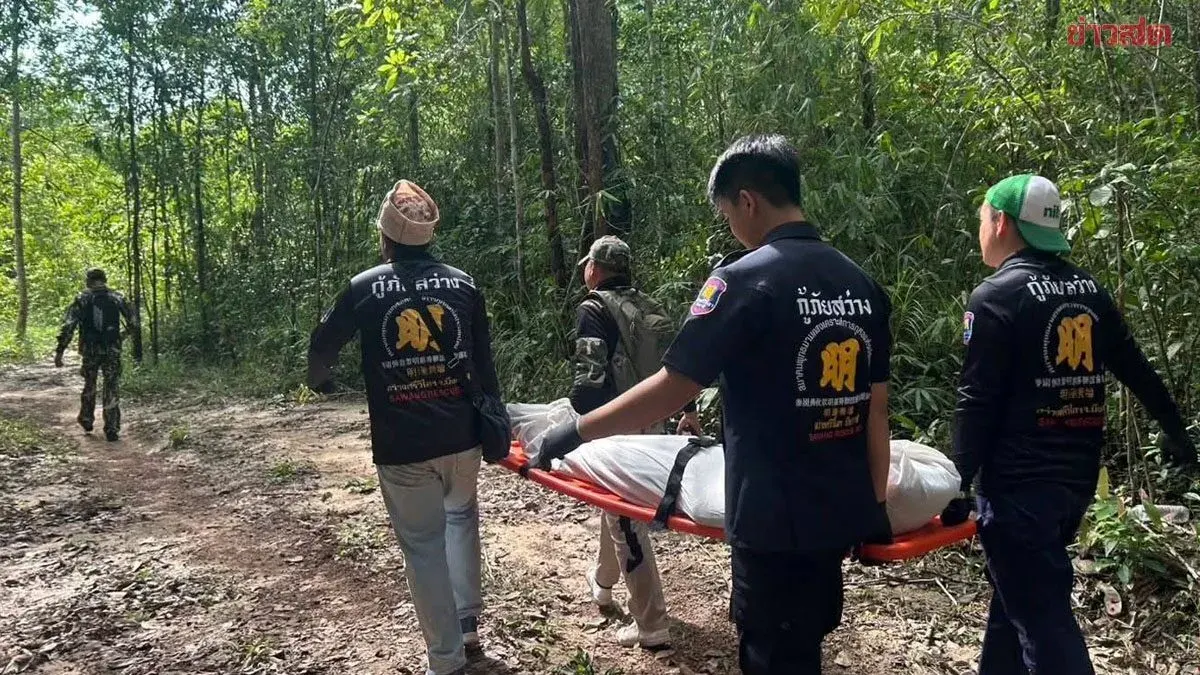 Tragedy: 39-Year-Old Woman Killed by Wild Elephant While Mushroom Foraging in Phu Wua Forest