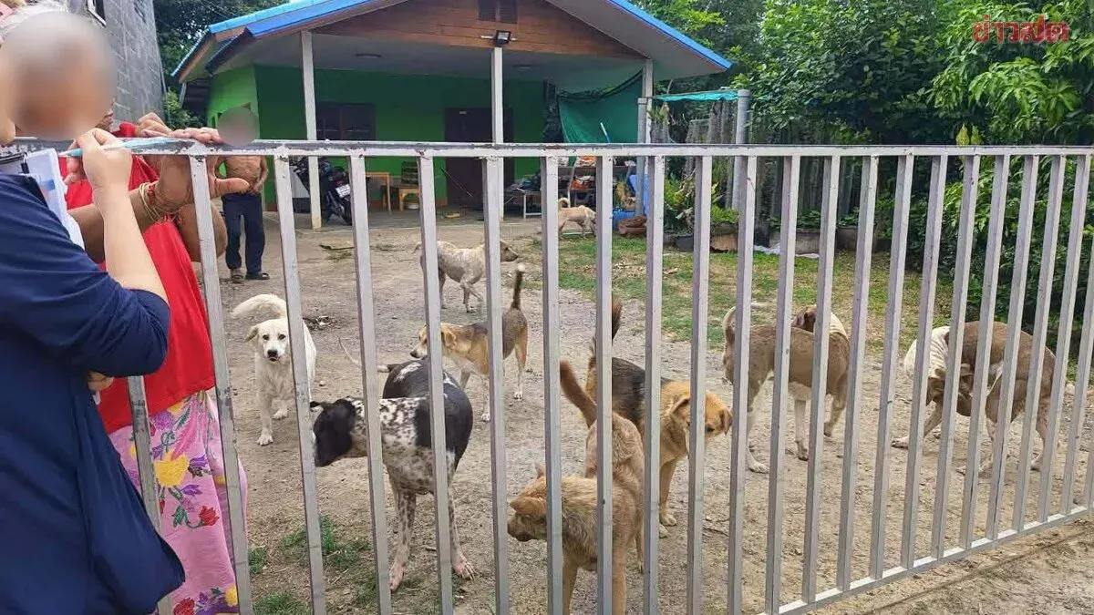 Pack of 20 Stray Dogs Attack 8-Year-Old Boy in Shocking Community Incident; Residents Demand Action