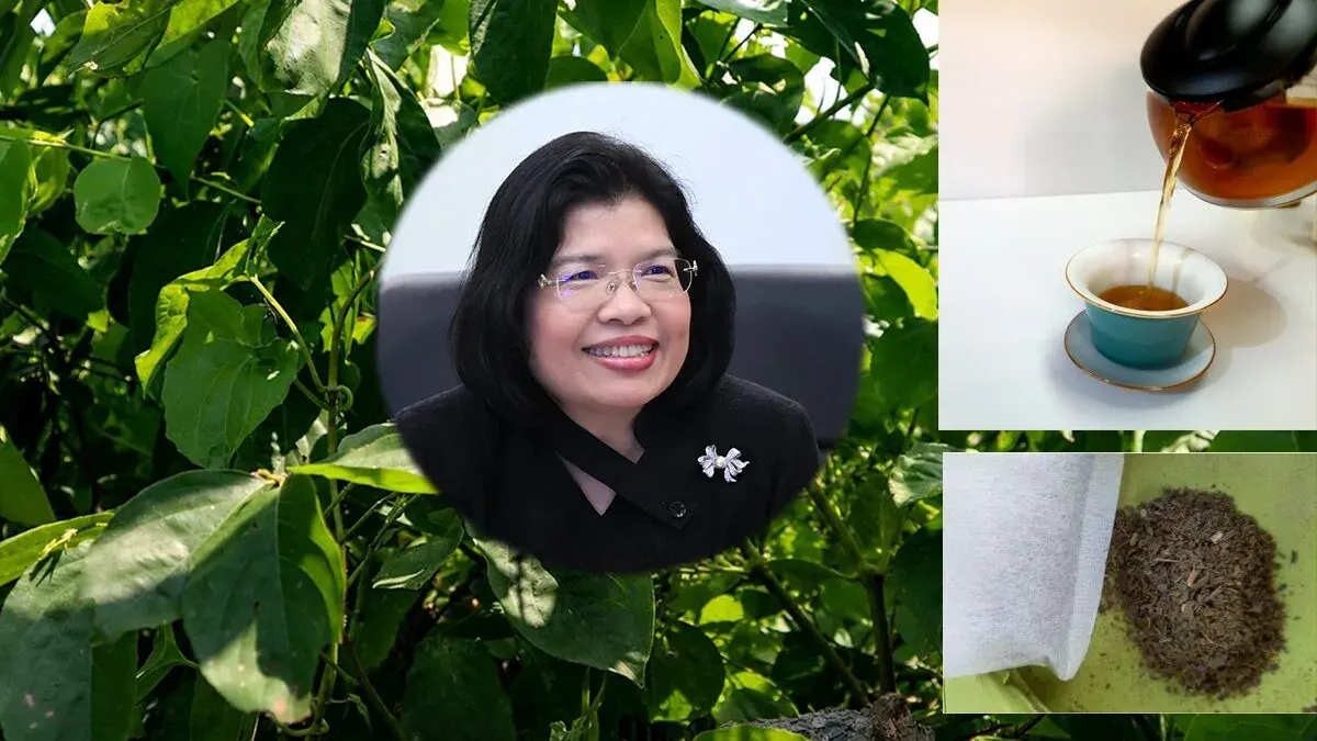 Koh Kret Red Tea Earns Geographic Indication Status