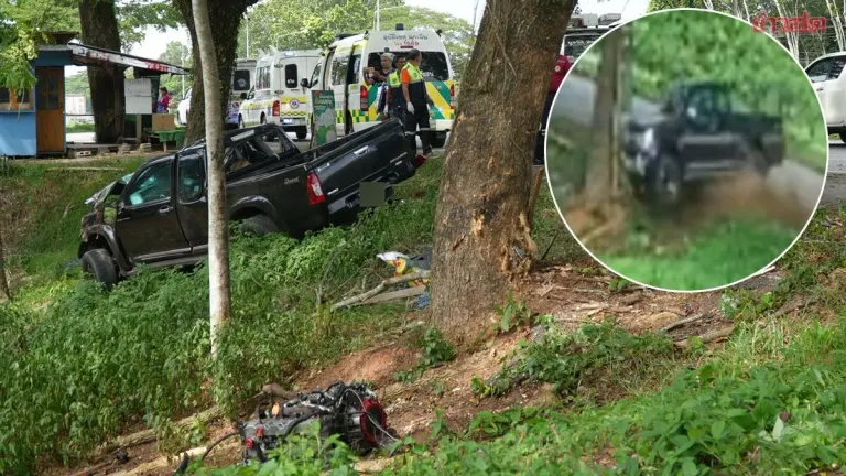 Pickup Truck Hits Tree in Rain, Killing Phatthalung Businessman