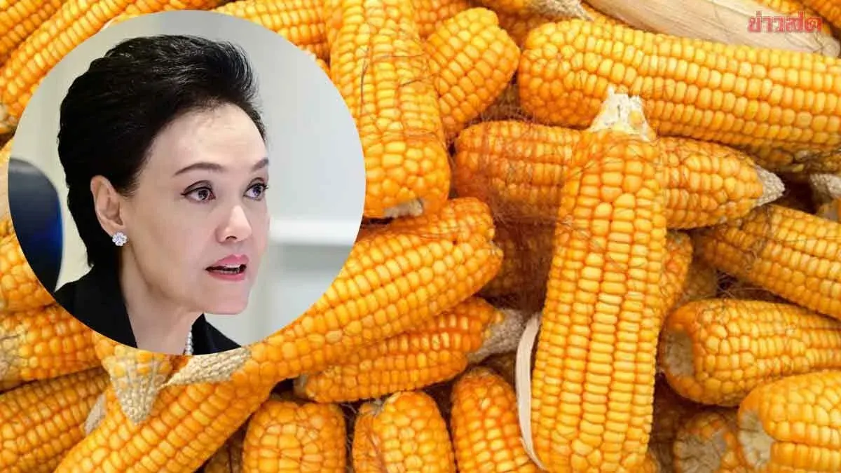 Government Extends Feed Corn Purchase Price Support Until August 31