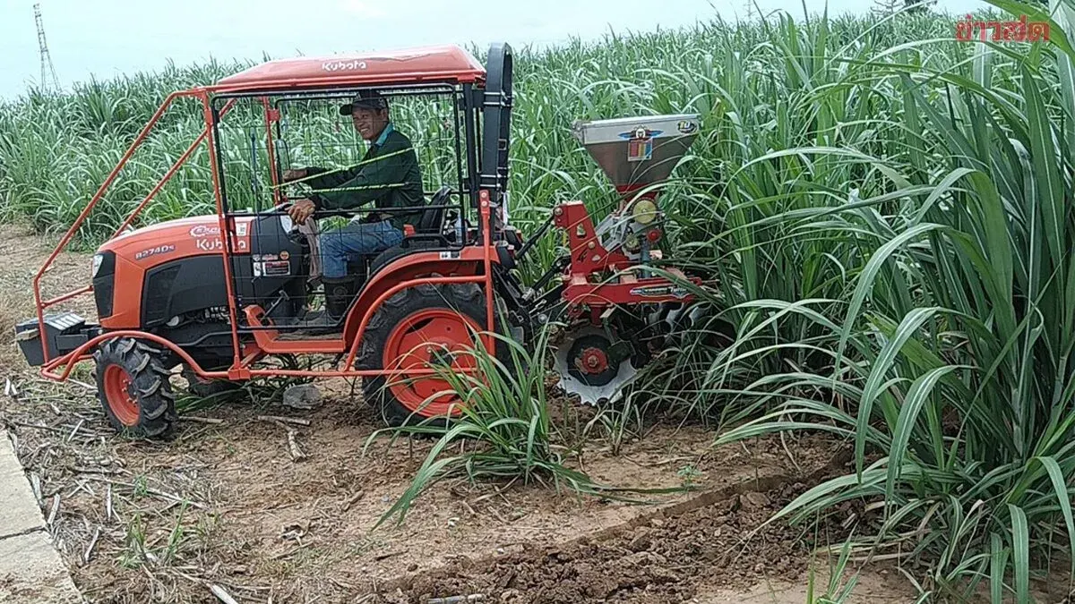 Sugarcane Farmers Squeezed as Costs Soar, Prices Stall at 850 Baht Per Ton