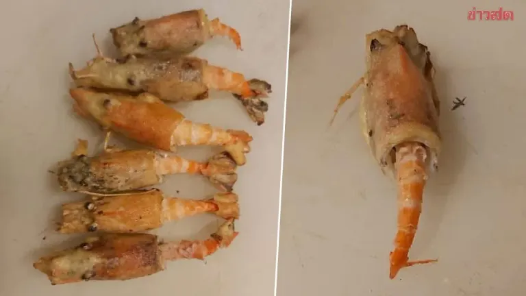 Chef Clarifies Shrimp Controversy, Says Misleading Species Labeling