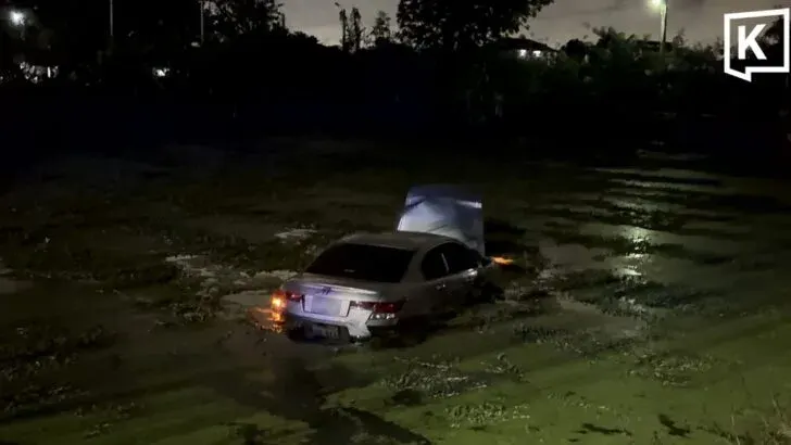 Drunk driver crashes into fish pond after hit-and-run