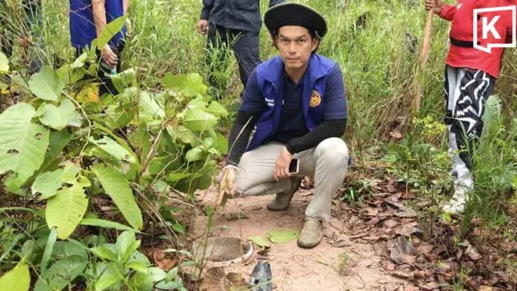 Bullfrog traps removed due to extinction concerns
