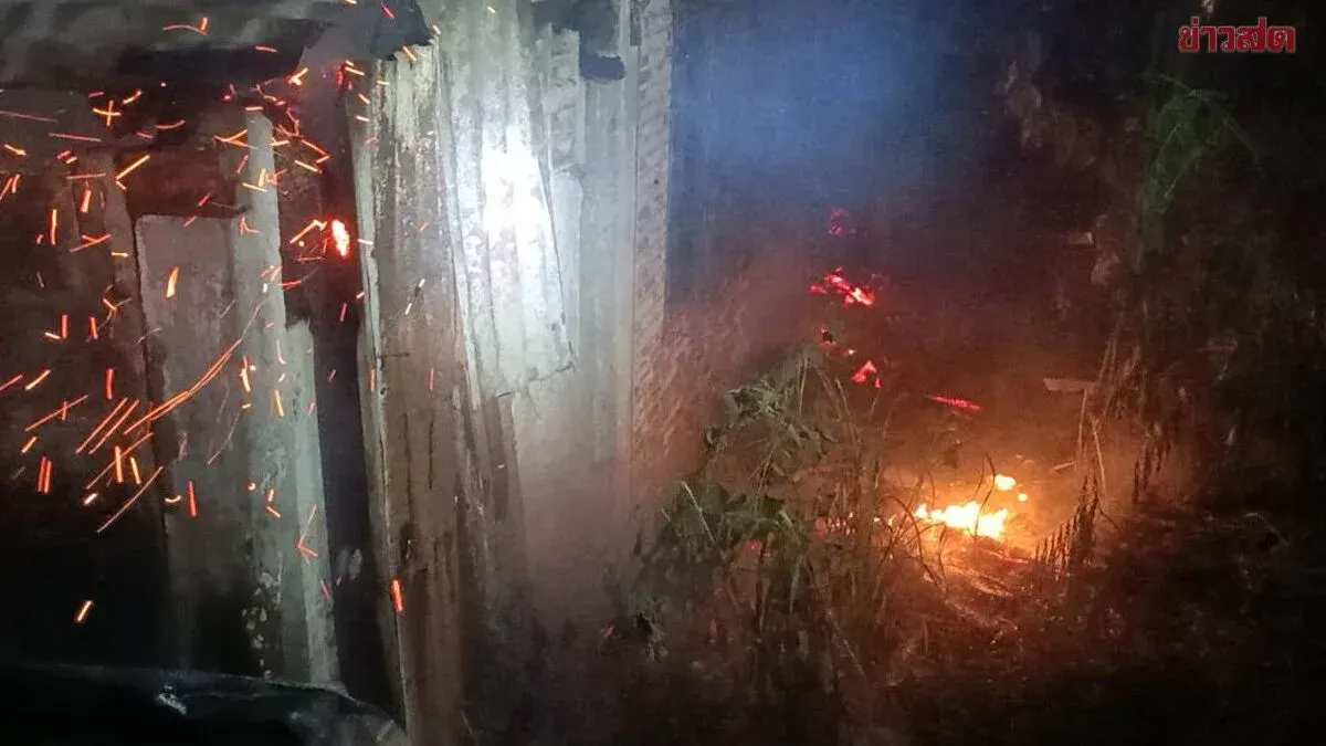 Fire Destroys Abandoned Thai Wooden House, Six Puppies Dead