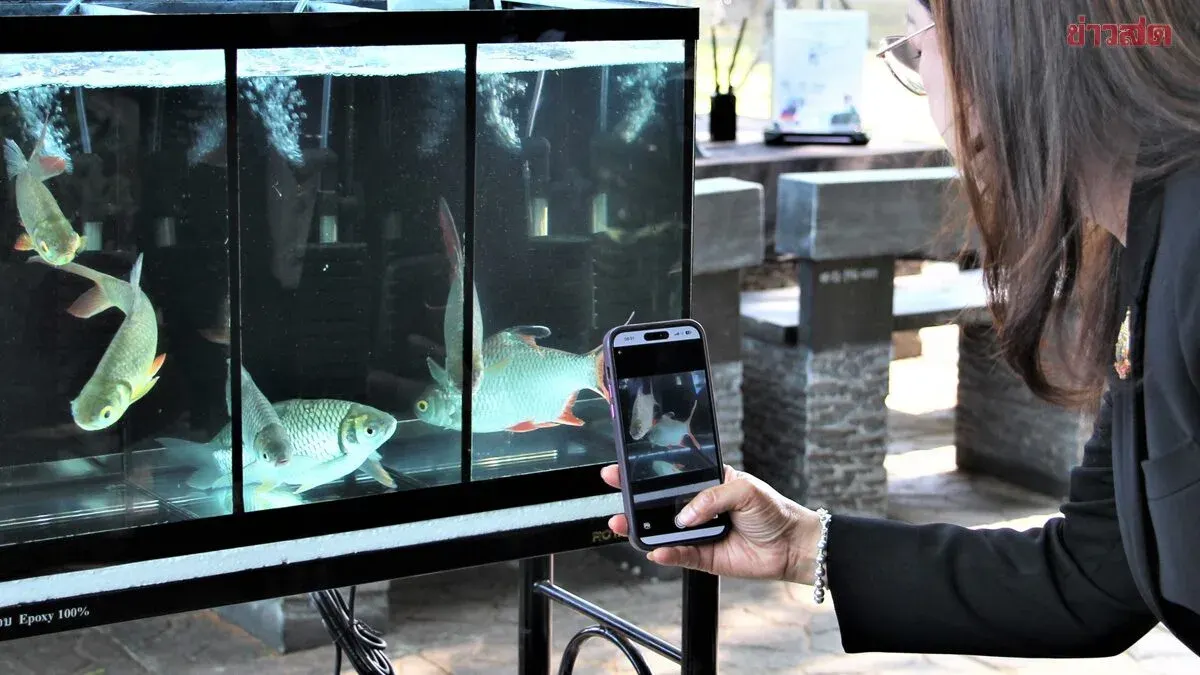Fisheries Department Addresses Thailand FishAI App Controversy Over Misidentified Fish Species