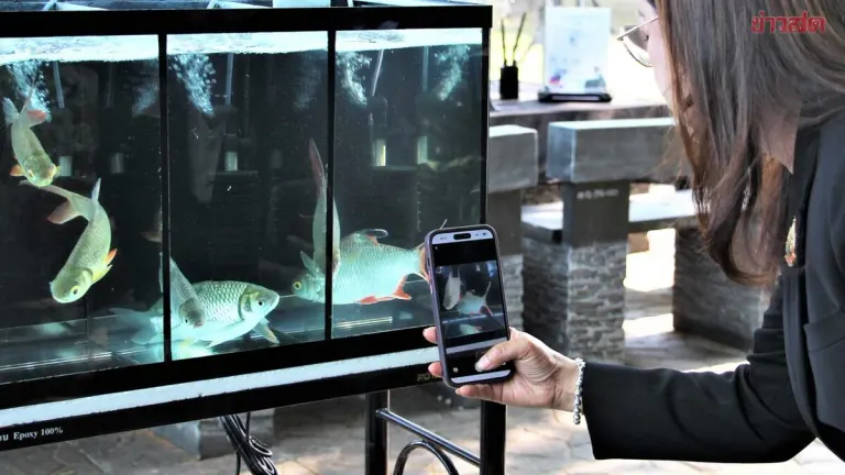 Fisheries Department Addresses Thailand FishAI App Controversy Over Misidentified Fish Species