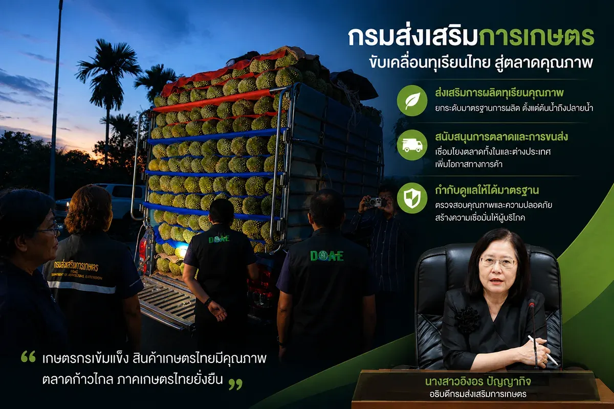 Cracking Down on Underripe Durians: Department of Agriculture Intensifies Quality Controls for Eastern Thailand Durian Production