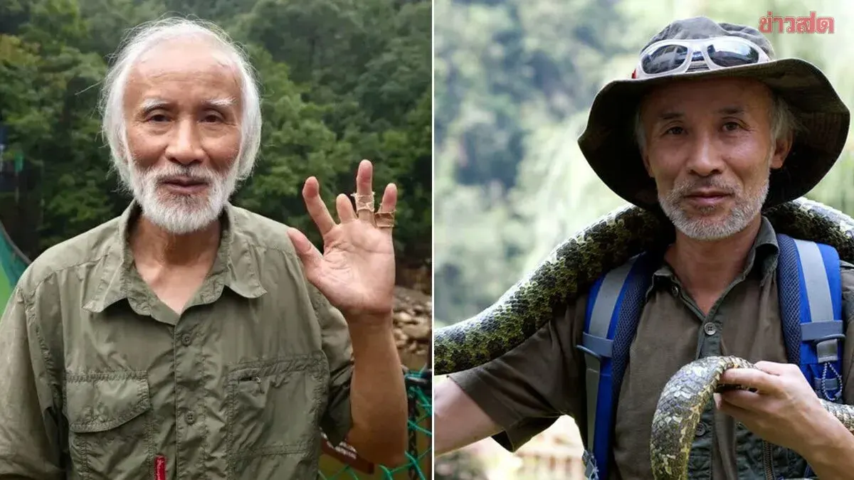 Chinese Snake Expert Dedicates 37 Years to Rare Venom Snake Conservation