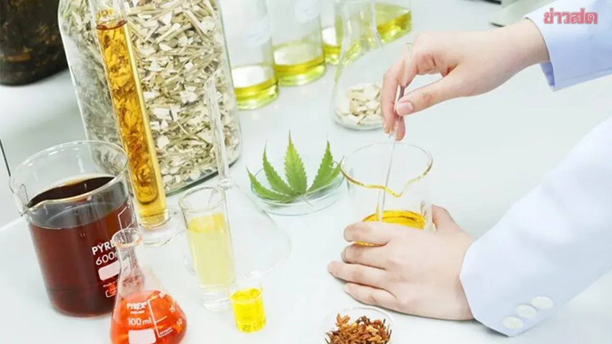 Thailand Trains Medical Cannabis Entrepreneurs to Meet Global Standards