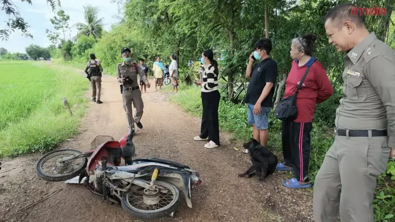 Ang Thong Police Hunt Driver Who Beat, Ran Over Elderly
