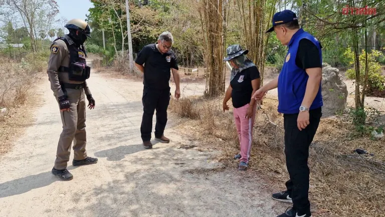 Heartbreaking Discovery: Stray Dogs Poisoned and Left Dead on Roads; Food Vendor Grieves Loss of 19 Dogs, Only 4 Survive