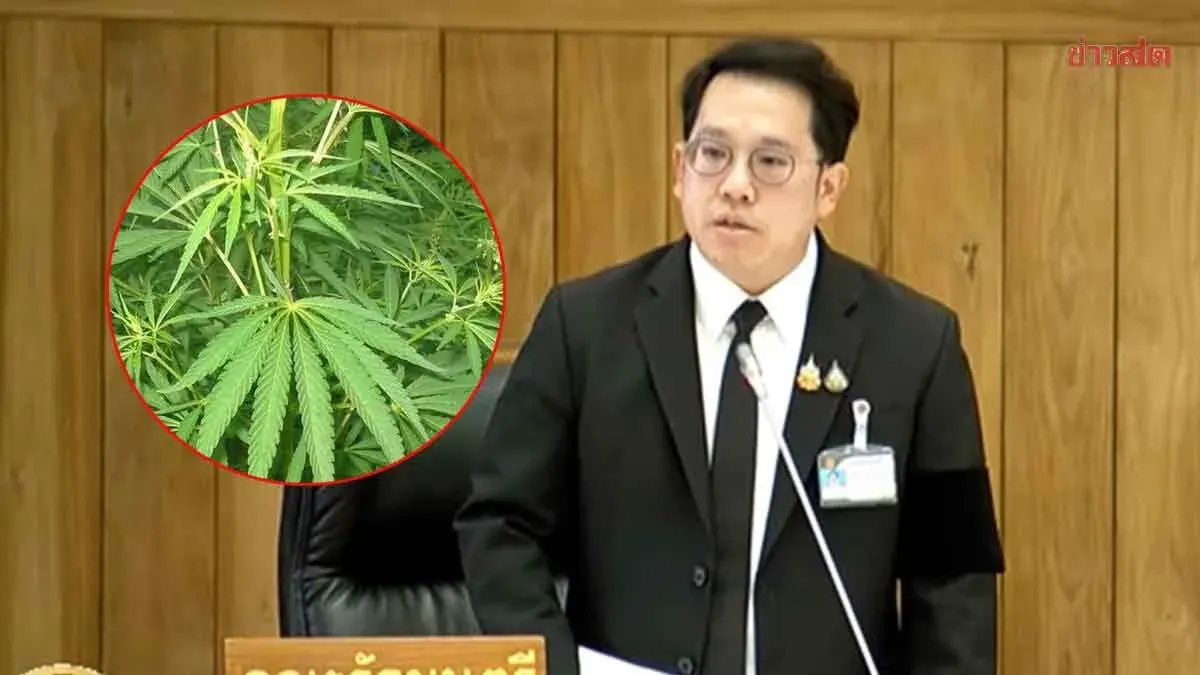 Health Minister Denies Free Cannabis Policy, Warns of Immediate Arrests for Sales and Use; Accelerates Drug Regulation