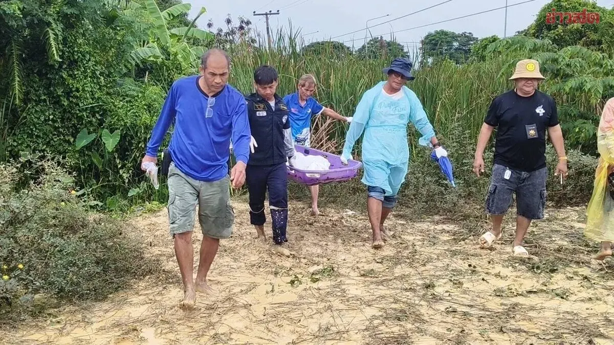 Man Dies After Electric Shock While Stealing Wires
