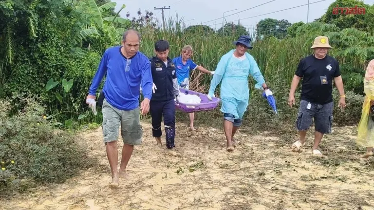 Man Dies After Electric Shock While Stealing Wires
