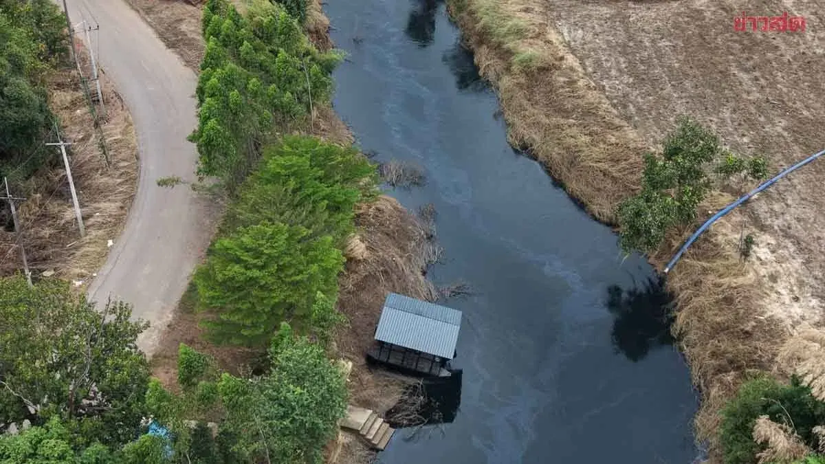 Prachinburi Deputy Governor Confirms River Fish Safe After Pollution Scare
