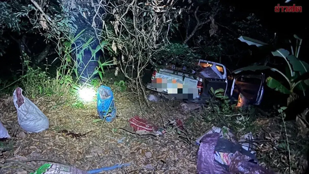Pickup Truck Loses Control on Dark Road, Plunges 50 Meters Down Cliff and Crashes Into Trees
